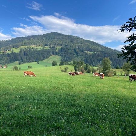 4 Elements Appartmenthaus Monarda Flachau Eksteriør bilde
